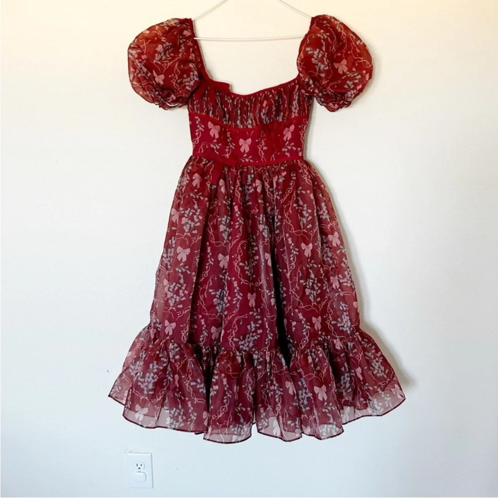 Fairy Tong Rococo Melody Midi Dress Wine - Picture 4 of 8